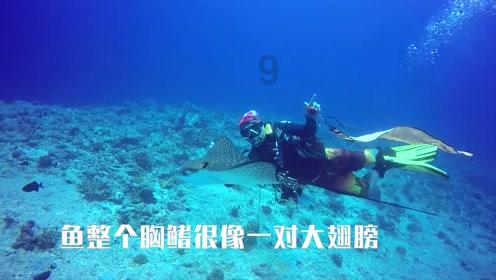 二手车评估师怎么报考？？ 报考条件？ 含金量如何？